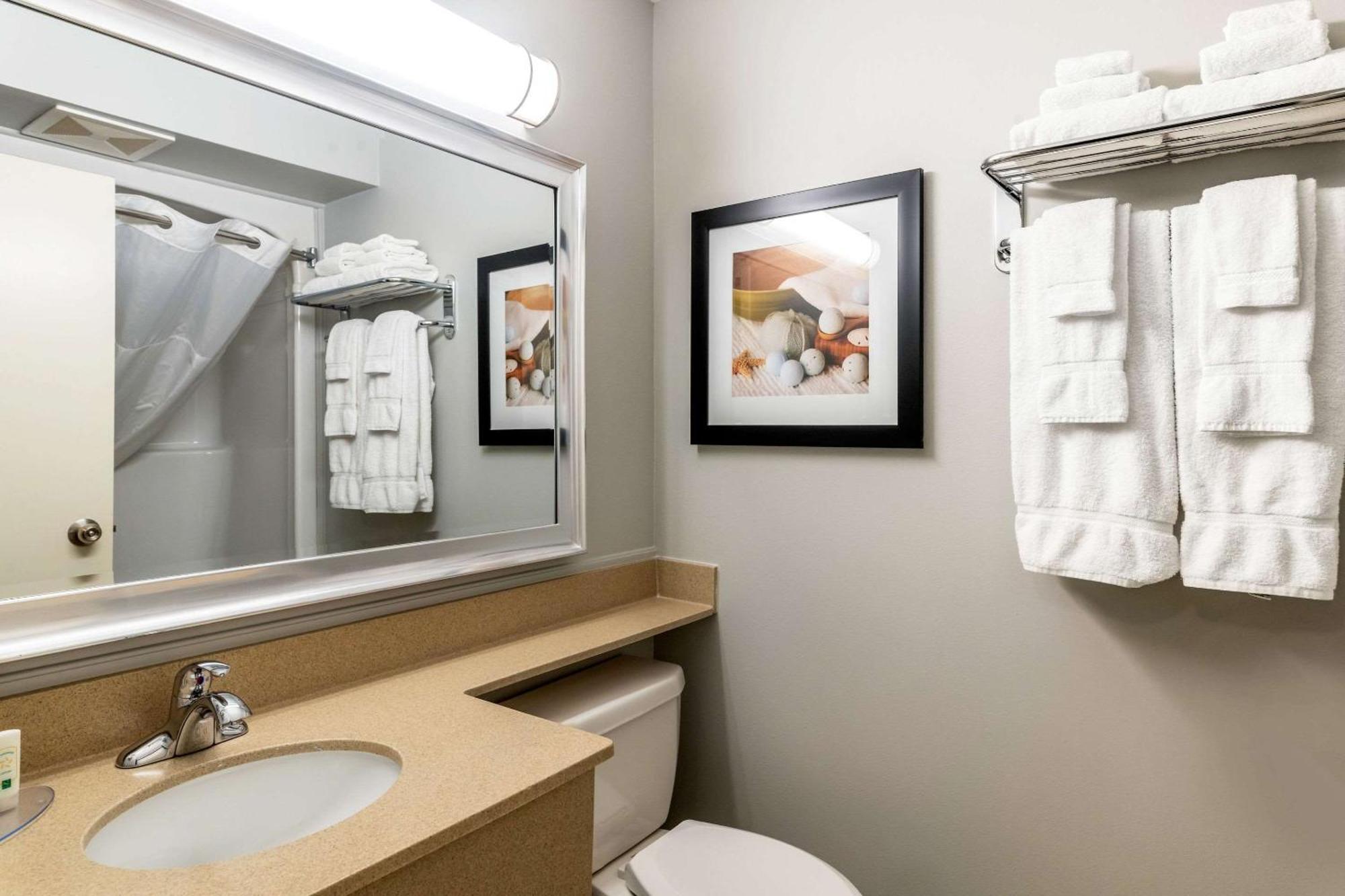 Quality & Amsterdam Hotel