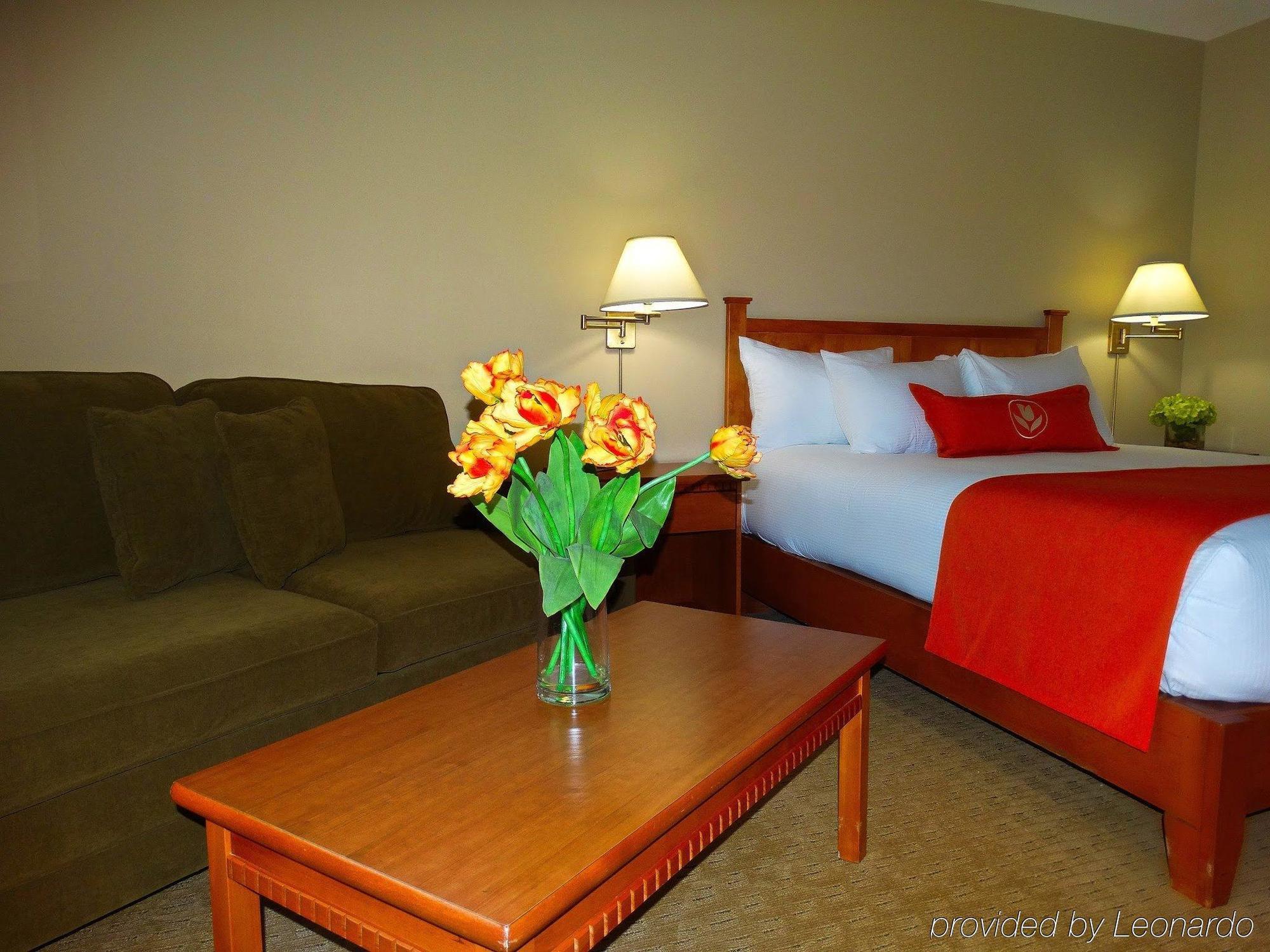 Quality & Amsterdam Hotel 3*