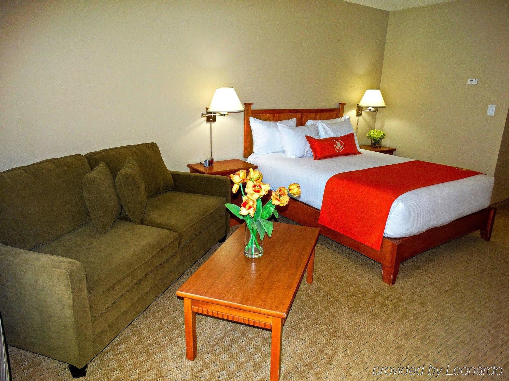 Quality & Amsterdam Hotel 3*